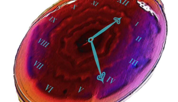 bağırsak hastalıklarının tedavisi