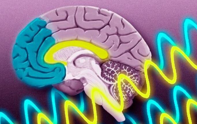 beyin bağırsak ilişkisi