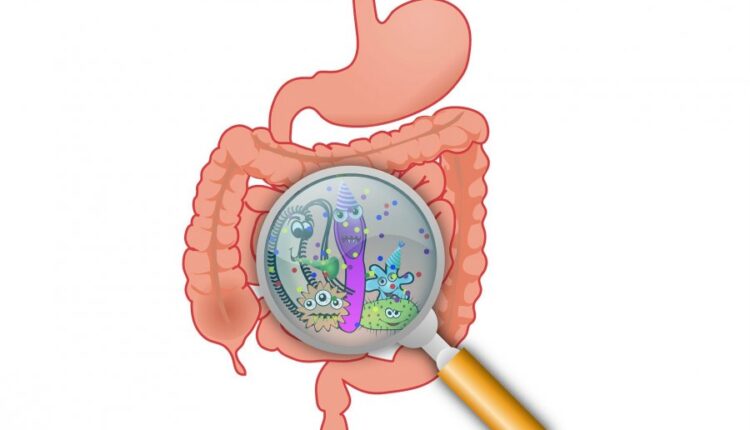 sindirim sistemi hastalıkları ve tedavisi