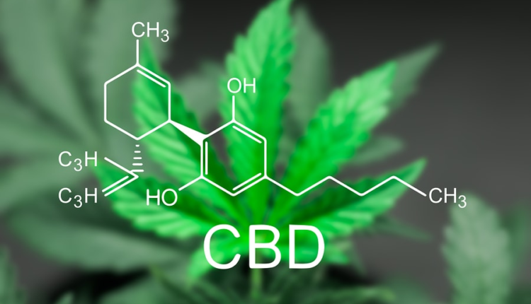 CBD oil